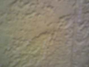 TRAVERTINO ROMANO IN MURETTO INTERNO