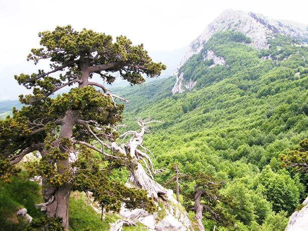 BB con ristorante vicino al Parco del Pollino 