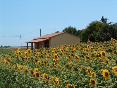 vista della nostro bed and breakfast in toscana