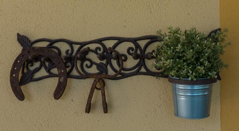 oasi-assisi-fiori