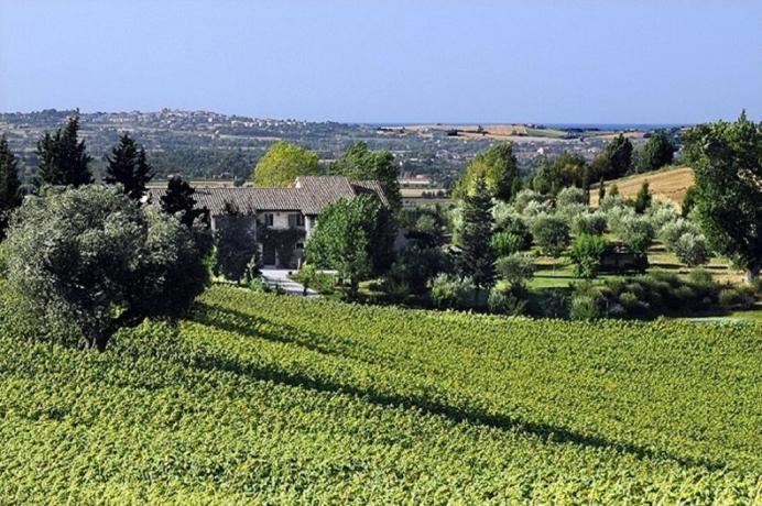 agrturismo casale pietra belvedere Jesi Marche