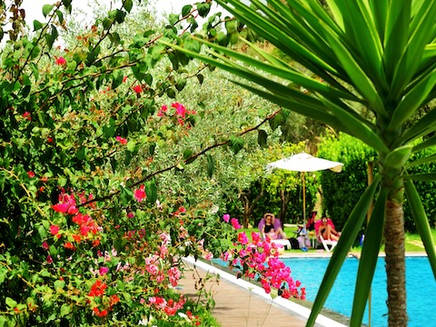 Panoramic Swimming pool 