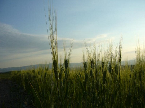 Soggiorno in Appartamento Vacanza a Santa Lucia 