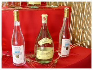Vini Frascati doc