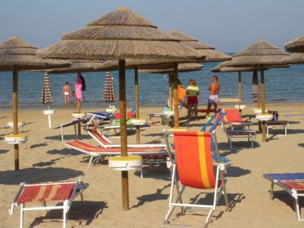 Spiaggia con lettini e sdraio