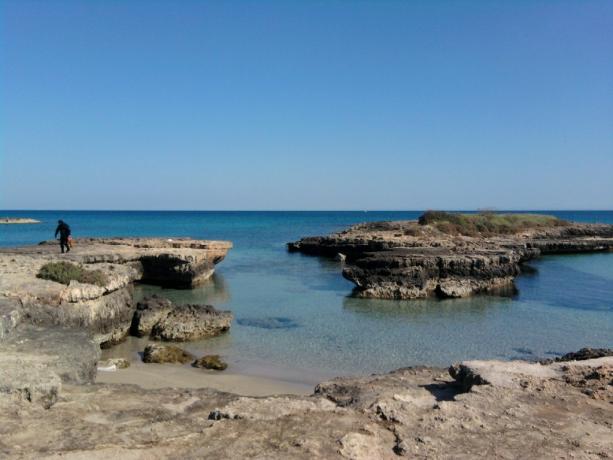 Hotel con WiFi vicino al Mare del Salento,  ottimo Ristorante tipico Pugliese, Terrazzo Solarium e Parcheggio.