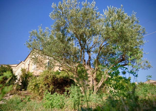 Appartamenti rurali a Fontecchio immersi nel verde