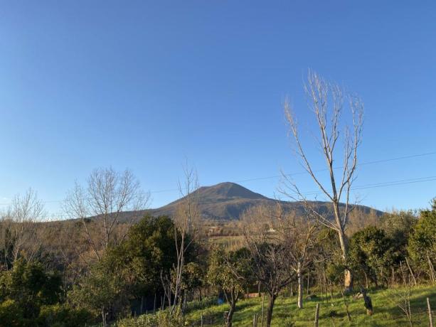 Parco Nazionale del Vesuvio  