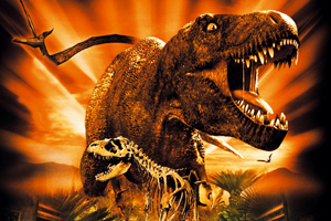 mostra dinosauri gubbio, agriturismi a gubbio