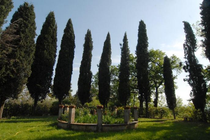 Giardino a Collevecchio in Agriturismo con Appartamenti 