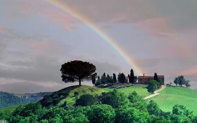 Dove dormire a Buti, Trova il Prezzo Migliore