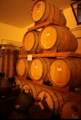 Cantina vinicola stessa proprietà