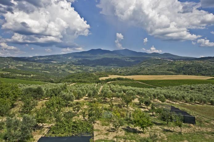 Country house nel verde in Toscana 