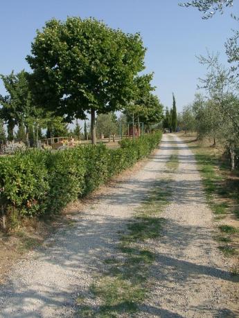Agriturismo con giochi bambini vicino Montegabbione