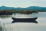 Pesca al Lago Trasimeno 