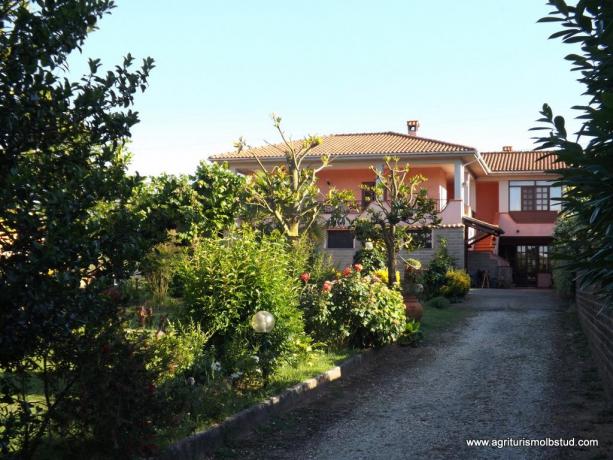 Nel Verde, Appartamenti Vacanza con Angolo Cottura