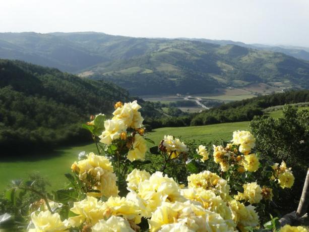 Agriturismo Umbria Vacanza in Famiglia