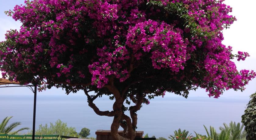 Camere in Agriturismo sul Mare a Messina 