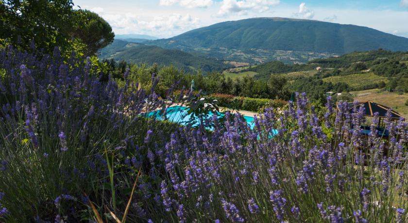 Piscina e idromassaggio esterno immersi nel verde