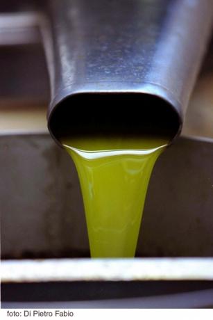 Olio da centrifuga