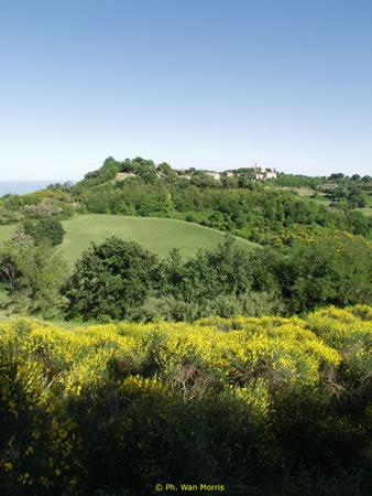 Pernottamento a Basso Costo al Parco Regionale