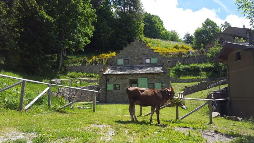 Casale per famiglie a Cimone immerso nella natura	 