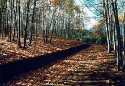 Trekking and Sports in the Etna Volcano Park