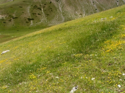 Man and Nature towards the Divine