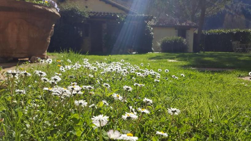 Casa Vacanze con appartamenti e giardino a Ferentillo 