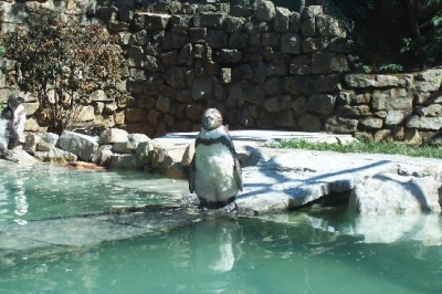 visitare parco cornelle