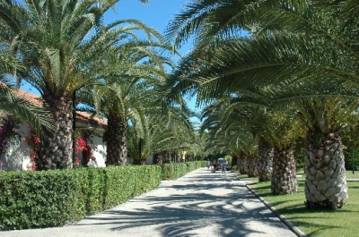 hotel e alberghi a roseto in Abruzzo