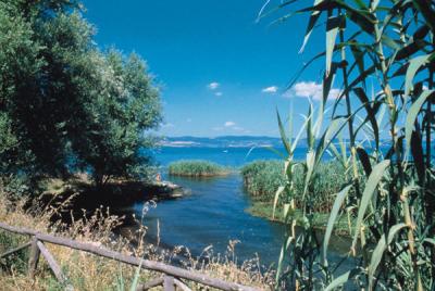 Inexpensive B&B close to the Bolsena Lake