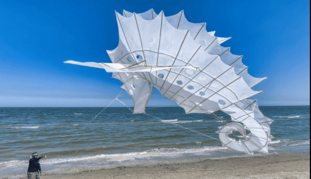 46° edizione di ARTEVENTO - Festival Internazionale dell'Aquilone (Cervia)