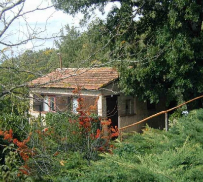 External view of the Country House