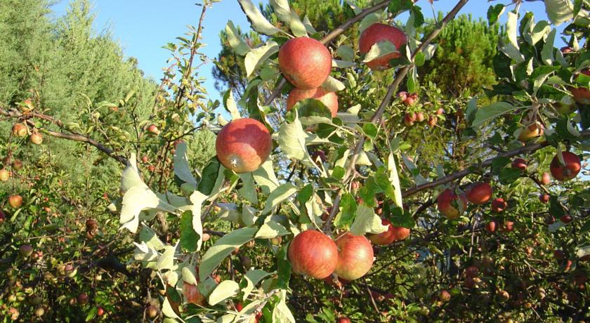 oasi assisi posizione collinare