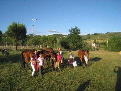 Passeggiate a cavallo nel verde Umbria