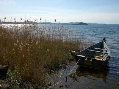 Pesca e Rilassamento al Lago di Bolsena