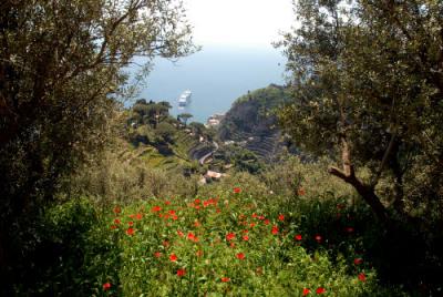 B&B and Agritourisms overlooking the Sea of Amalfi