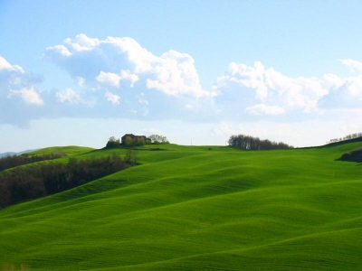 Toscana B&B in collina Toscana. Bed & Breakfast