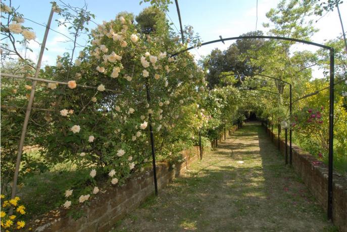 Giardino, Piscina Esterna e Centro Benessere nel Lazio 