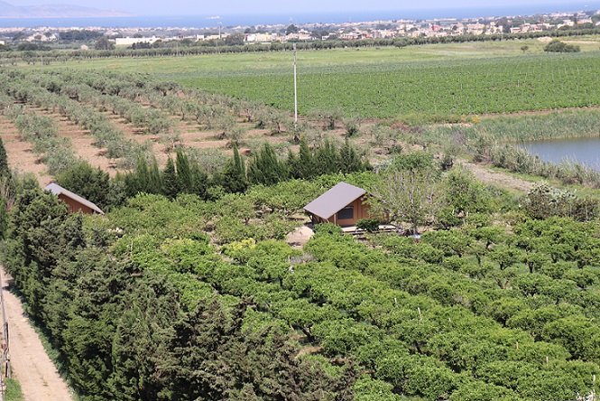 Gampling in Agriturismo Sicilia, immerso nel  verde 