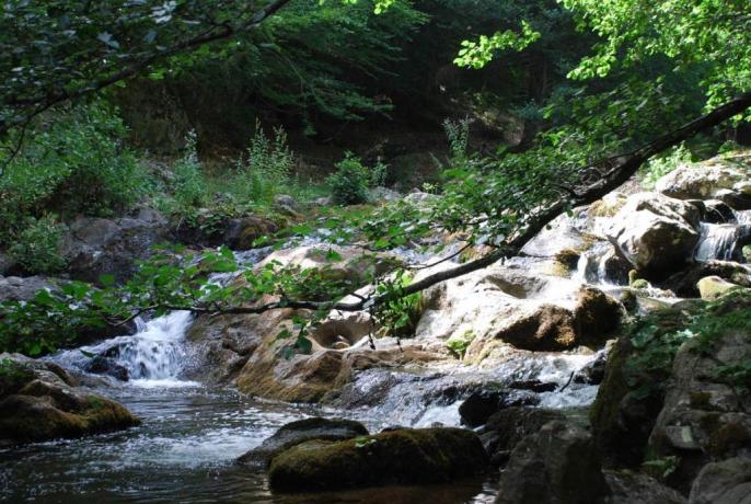 Visitare i parchi nazionale della Calabria 