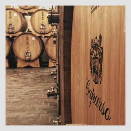 Produzione di vino in agriturismo