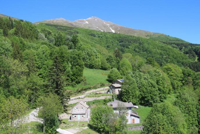 Appartamenti immersi nel verde in Emilia-Romagna 