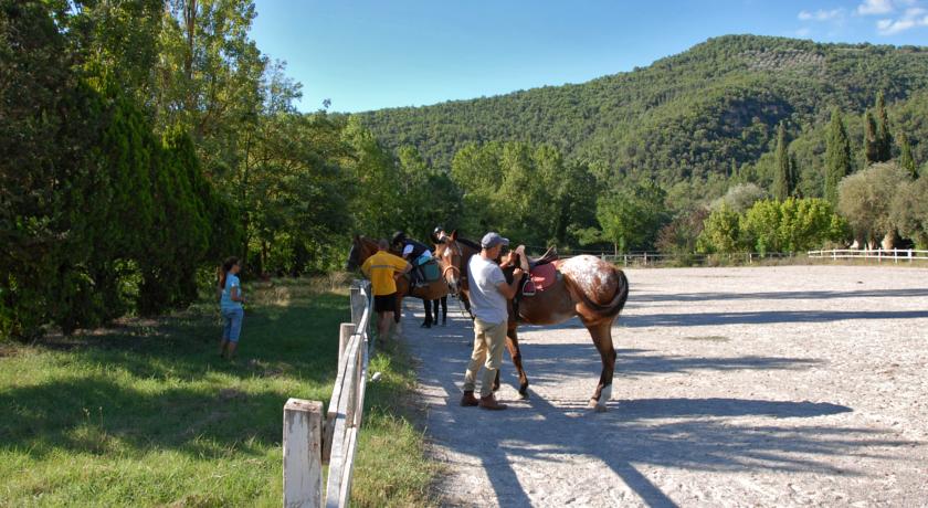 lezioni di equitazione e passeggiate a cavallo  