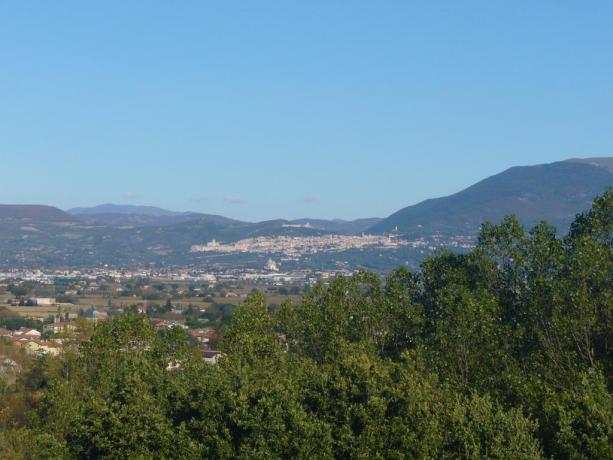 Agriturismo in Umbria vicino Perugia-Assisi-Foligno a Bettona 