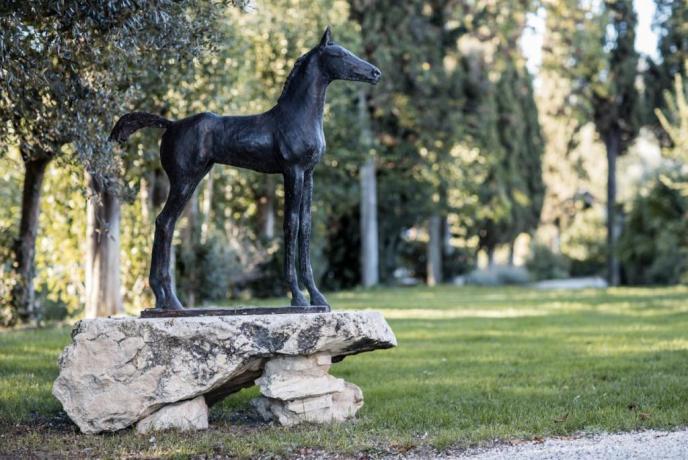 Villa vicino ad Arezzo per famiglie