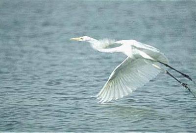 Visita il Parco naturale dell´Uccellina, Toscana