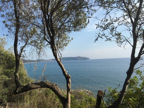 Vista Panoramica Mare di Palinuro 