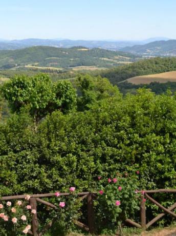 Appartamenti con piscina in Umbria, panorama